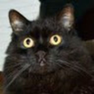 Meet your Posher, Paula